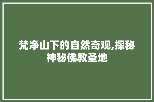 梵净山下的自然奇观,探秘神秘佛教圣地