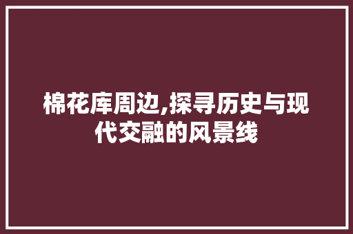 棉花库周边,探寻历史与现代交融的风景线