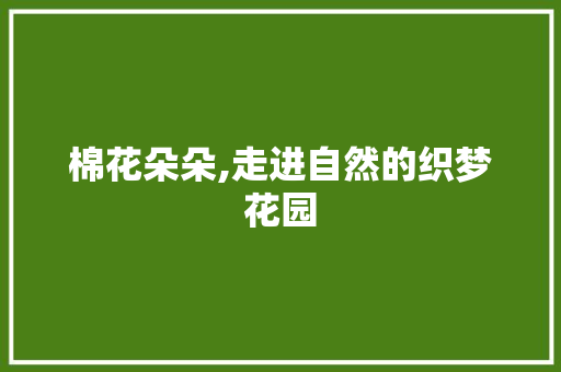 棉花朵朵,走进自然的织梦花园