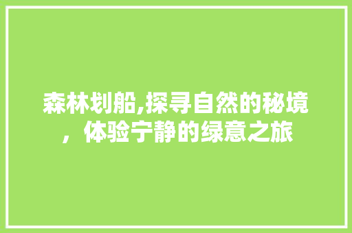 森林划船,探寻自然的秘境，体验宁静的绿意之旅