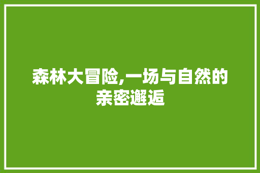 森林大冒险,一场与自然的亲密邂逅