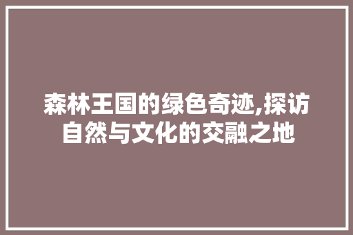 森林王国的绿色奇迹,探访自然与文化的交融之地  第1张