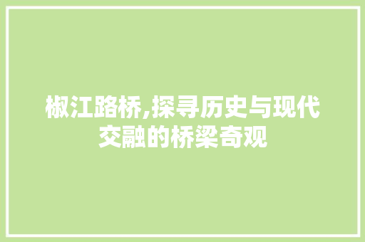 椒江路桥,探寻历史与现代交融的桥梁奇观  第1张