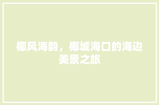 椰风海韵，椰城海口的海边美景之旅  第1张