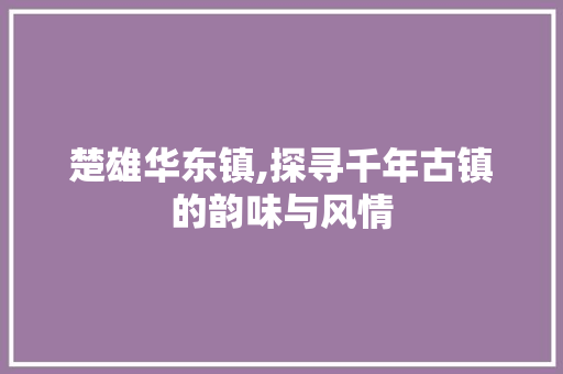 楚雄华东镇,探寻千年古镇的韵味与风情