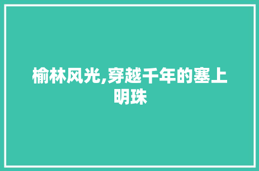 榆林风光,穿越千年的塞上明珠  第1张