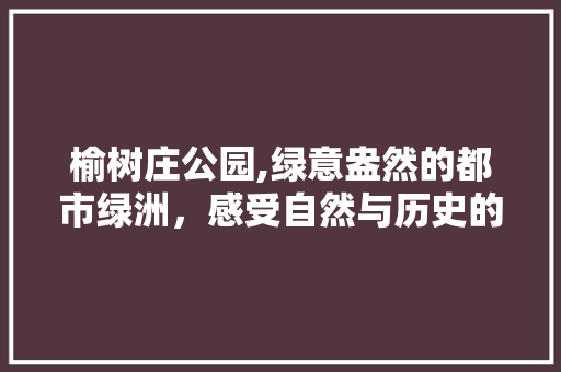 榆树庄公园,绿意盎然的都市绿洲，感受自然与历史的交融  第1张