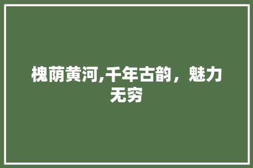 槐荫黄河,千年古韵，魅力无穷