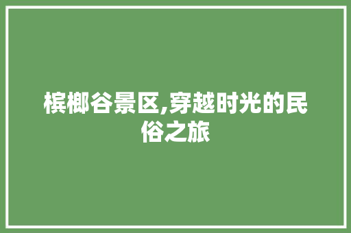 槟榔谷景区,穿越时光的民俗之旅