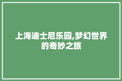 上海迪士尼乐园,梦幻世界的奇妙之旅  第1张