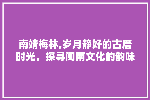 南靖梅林,岁月静好的古厝时光，探寻闽南文化的韵味