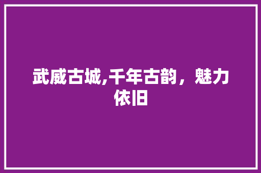 武威古城,千年古韵，魅力依旧