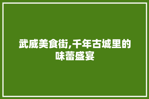 武威美食街,千年古城里的味蕾盛宴