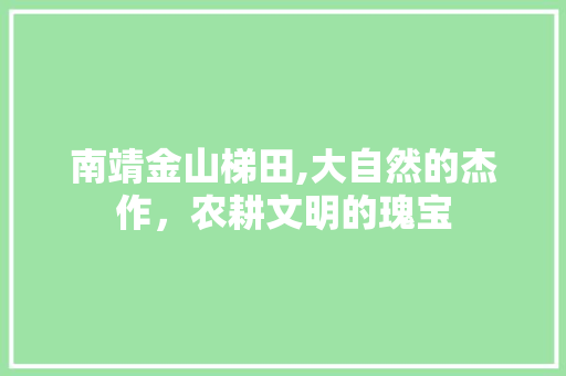 南靖金山梯田,大自然的杰作，农耕文明的瑰宝  第1张