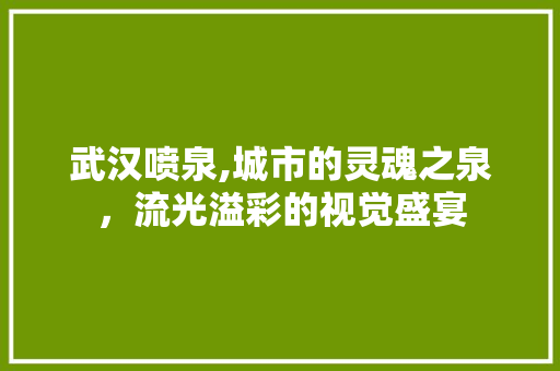 武汉喷泉,城市的灵魂之泉，流光溢彩的视觉盛宴