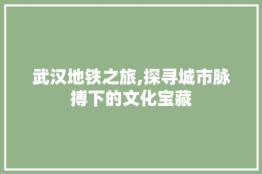 武汉地铁之旅,探寻城市脉搏下的文化宝藏