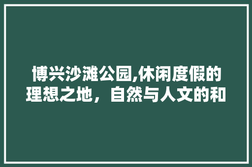 博兴沙滩公园,休闲度假的理想之地，自然与人文的和谐交融