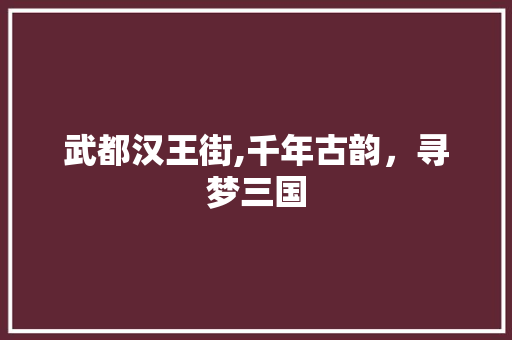 武都汉王街,千年古韵，寻梦三国