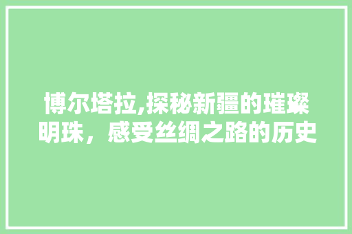 博尔塔拉,探秘新疆的璀璨明珠，感受丝绸之路的历史韵韵