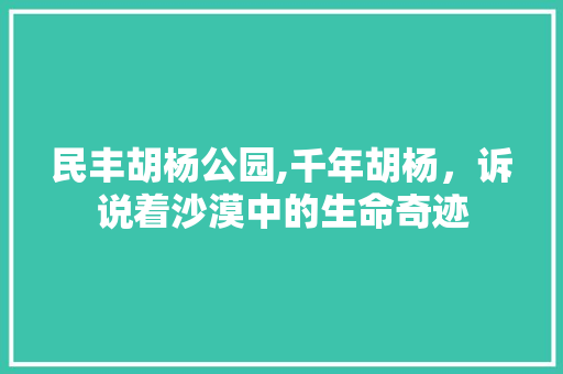 民丰胡杨公园,千年胡杨，诉说着沙漠中的生命奇迹  第1张