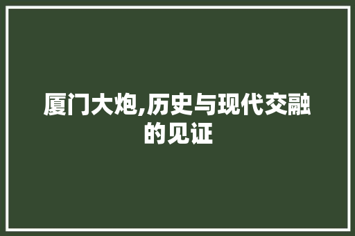 厦门大炮,历史与现代交融的见证  第1张