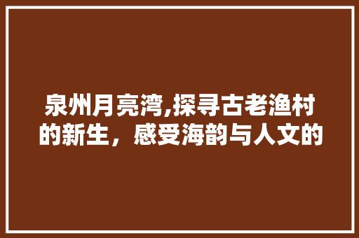 泉州月亮湾,探寻古老渔村的新生，感受海韵与人文的交融