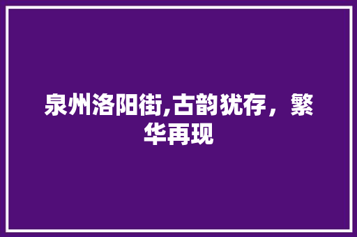 泉州洛阳街,古韵犹存，繁华再现  第1张