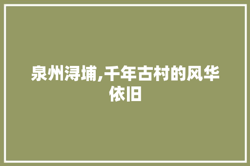 泉州浔埔,千年古村的风华依旧  第1张