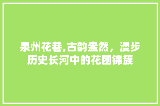 泉州花巷,古韵盎然，漫步历史长河中的花团锦簇