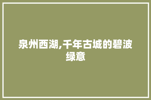 泉州西湖,千年古城的碧波绿意