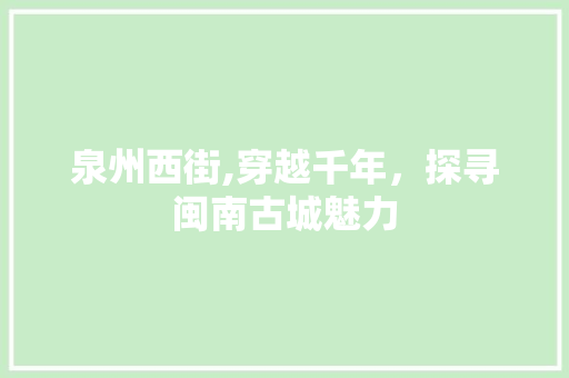 泉州西街,穿越千年，探寻闽南古城魅力  第1张