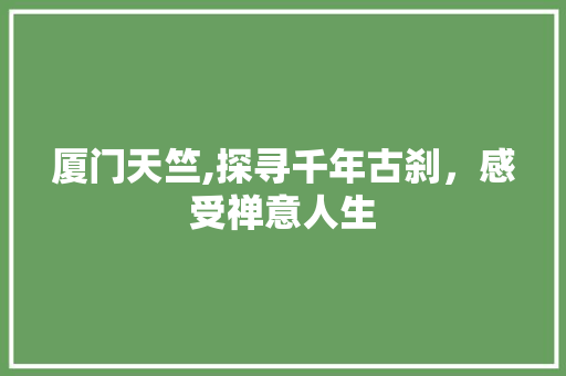 厦门天竺,探寻千年古刹，感受禅意人生