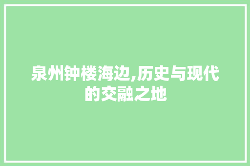 泉州钟楼海边,历史与现代的交融之地  第1张