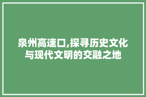 泉州高速口,探寻历史文化与现代文明的交融之地