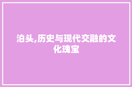 泊头,历史与现代交融的文化瑰宝  第1张