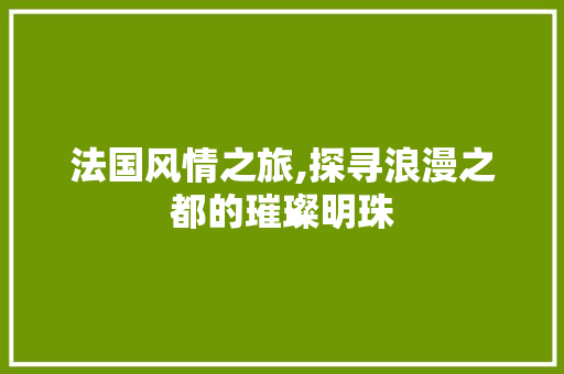 法国风情之旅,探寻浪漫之都的璀璨明珠