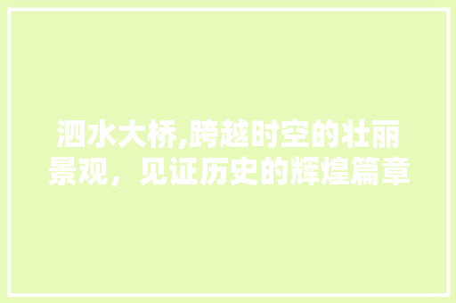 泗水大桥,跨越时空的壮丽景观，见证历史的辉煌篇章