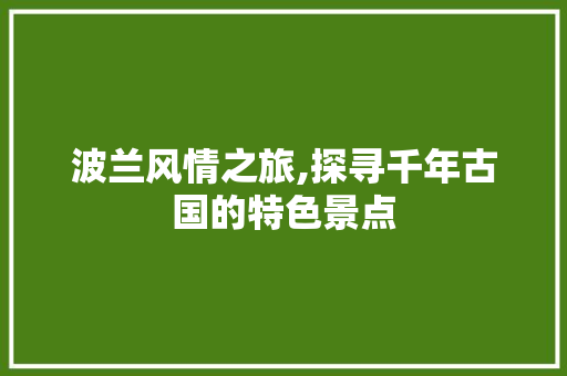 波兰风情之旅,探寻千年古国的特色景点