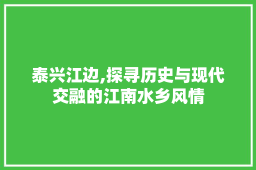 泰兴江边,探寻历史与现代交融的江南水乡风情  第1张