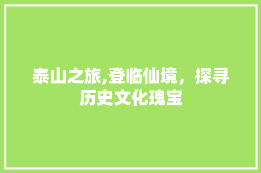 泰山之旅,登临仙境，探寻历史文化瑰宝  第1张