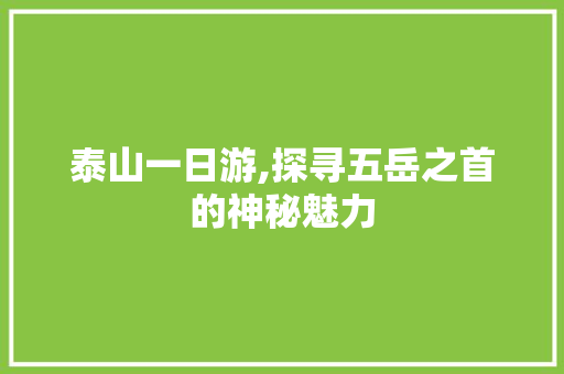 泰山一日游,探寻五岳之首的神秘魅力