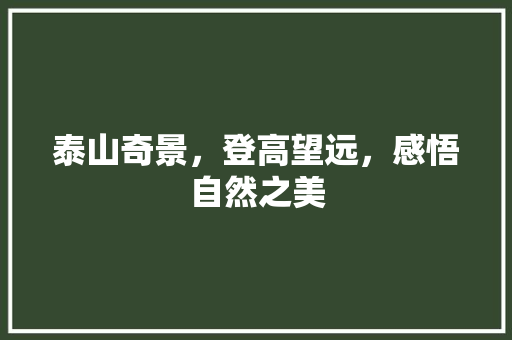 泰山奇景，登高望远，感悟自然之美