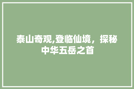 泰山奇观,登临仙境，探秘中华五岳之首