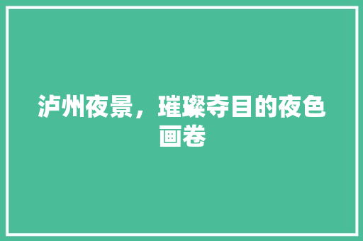 泸州夜景，璀璨夺目的夜色画卷