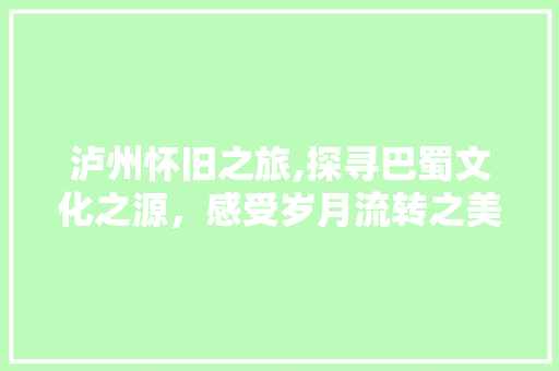 泸州怀旧之旅,探寻巴蜀文化之源，感受岁月流转之美