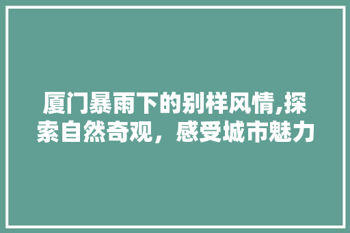 厦门暴雨下的别样风情,探索自然奇观，感受城市魅力