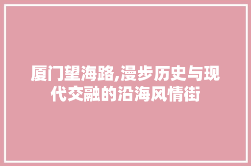 厦门望海路,漫步历史与现代交融的沿海风情街