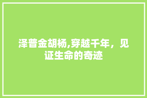 泽普金胡杨,穿越千年，见证生命的奇迹  第1张