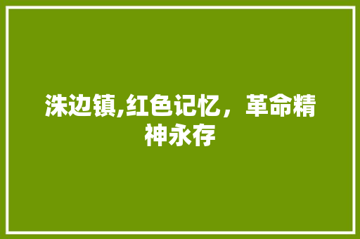 洙边镇,红色记忆，革命精神永存  第1张