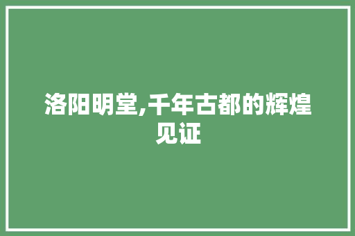 洛阳明堂,千年古都的辉煌见证  第1张